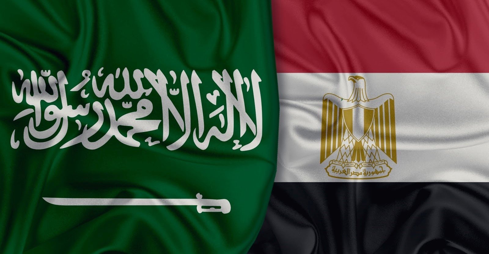 جولة مفاوضات لتحقيق تعاون مكثف بين بنك التصدير والاستيراد السعودي والقطاع الخاص في مصر